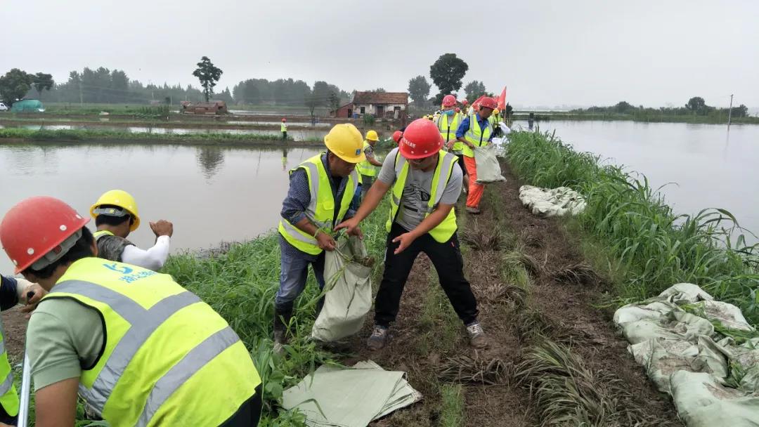 pg����ģ����(�й���)�ٷ���վ