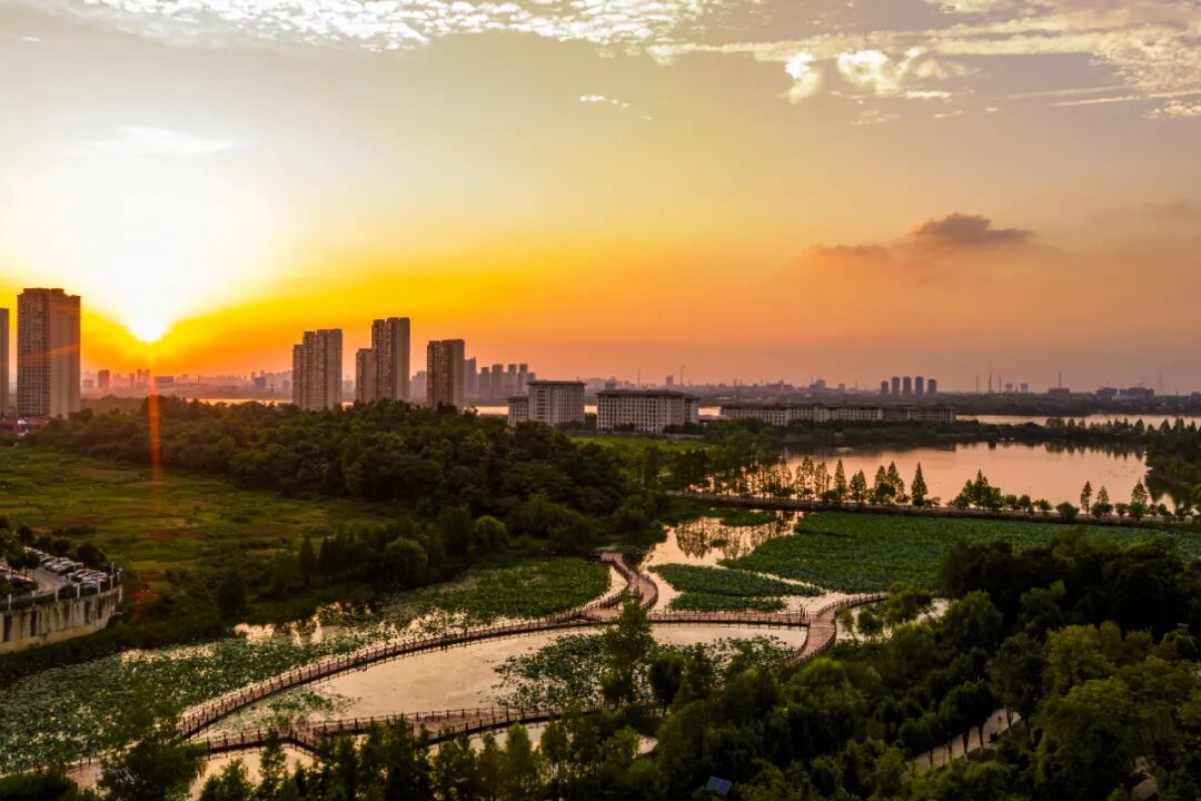 pg����ģ����(�й���)�ٷ���վ