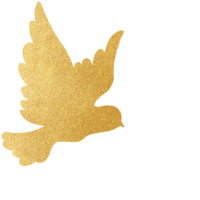 W020251117330064377691_ORIGIN pgµç×ÓÄ£ÄâÆ÷(ÖйúÓÎ)¹Ù·½ÍøÕ¾