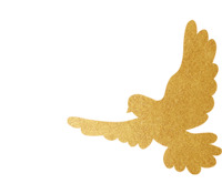 W020251117330065237520_ORIGIN pgµç×ÓÄ£ÄâÆ÷(ÖйúÓÎ)¹Ù·½ÍøÕ¾